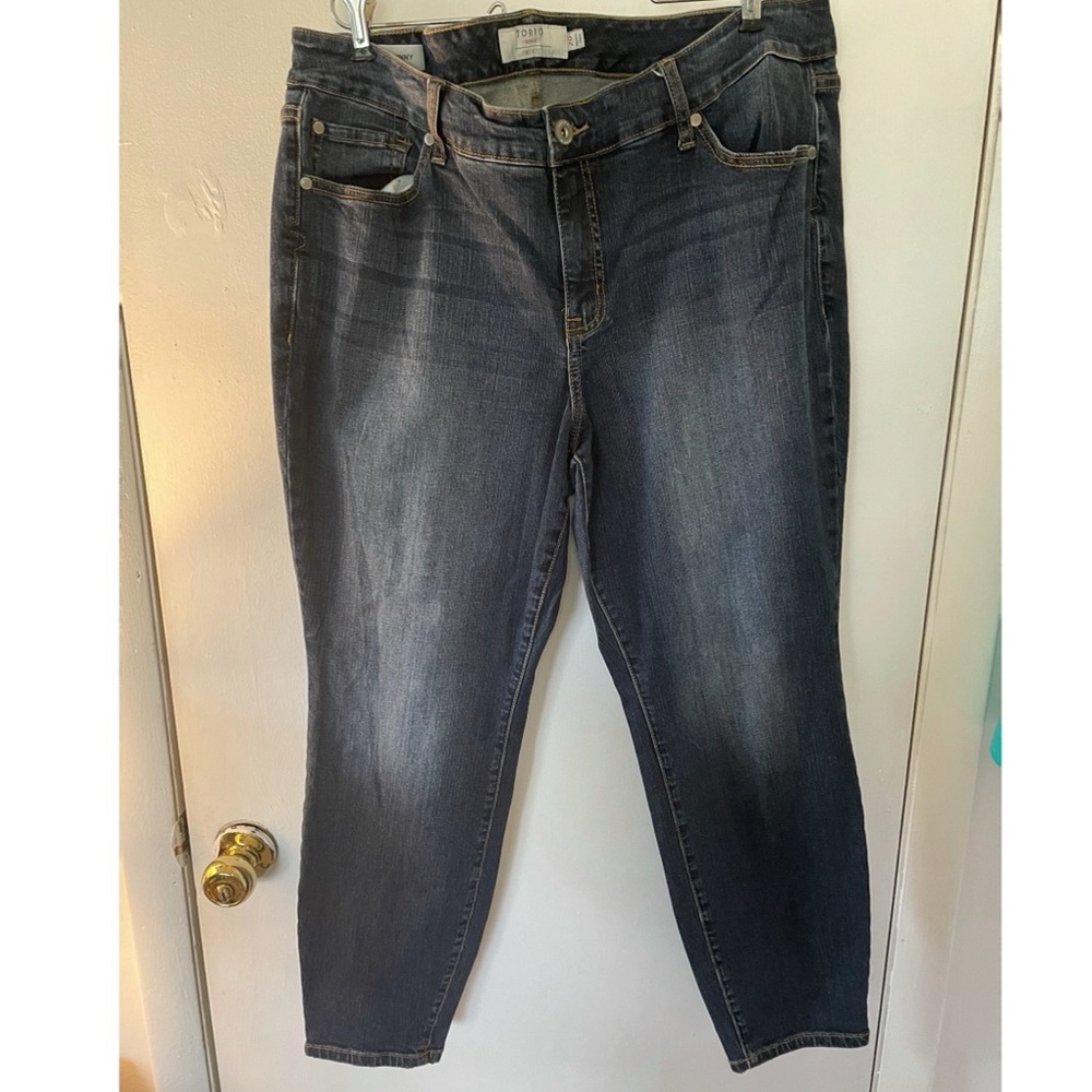 Torrid Skinny Jean